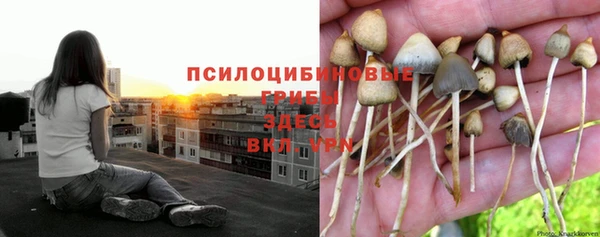 стафф Абинск