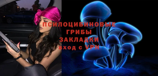 соль ск Алзамай