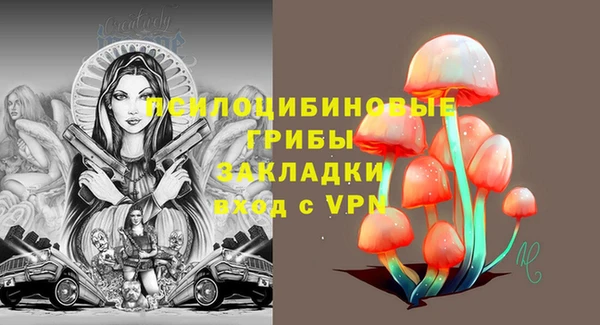 прущий лед Абаза