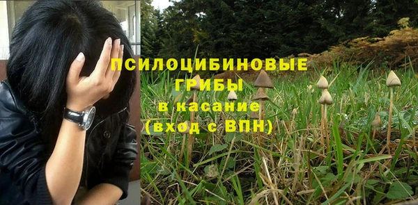 стафф Абинск