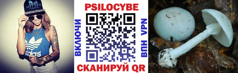 где найти   Кедровый  Галлюциногенные грибы GOLDEN TEACHER 
